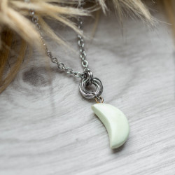 Hnízdečko a měsíc -...